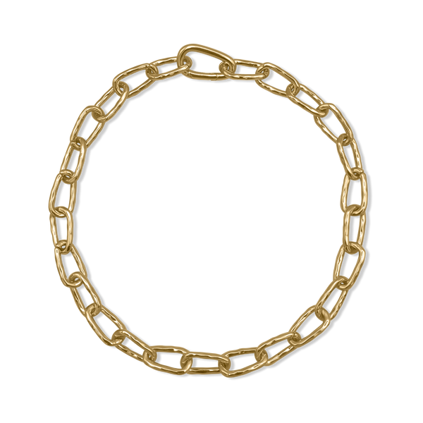 Cholla Chain Link Necklace