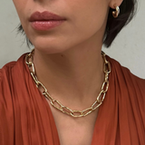 Cholla Chain Link Necklace