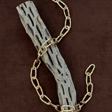 Cholla Chain Link Necklace